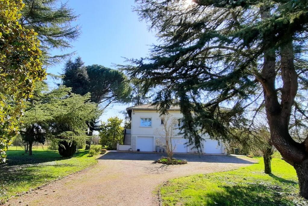 La Maison De Lili Colayrac-Saint-Cirq 外观 照片