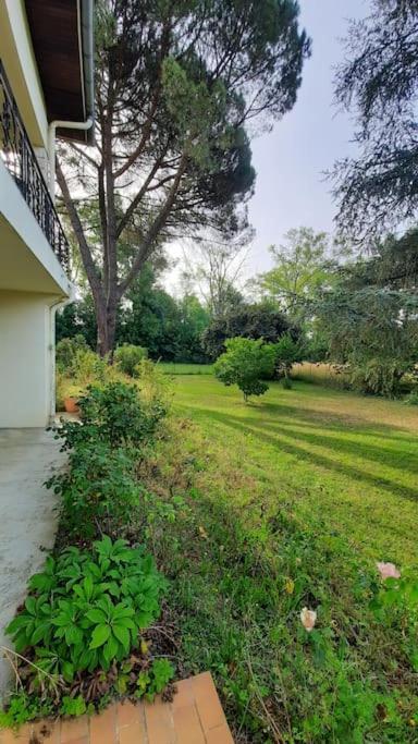 La Maison De Lili Colayrac-Saint-Cirq 外观 照片