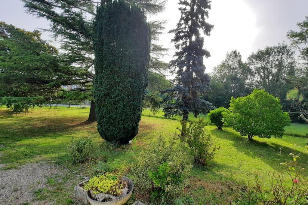 La Maison De Lili Colayrac-Saint-Cirq 外观 照片