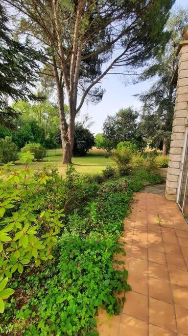 La Maison De Lili Colayrac-Saint-Cirq 外观 照片