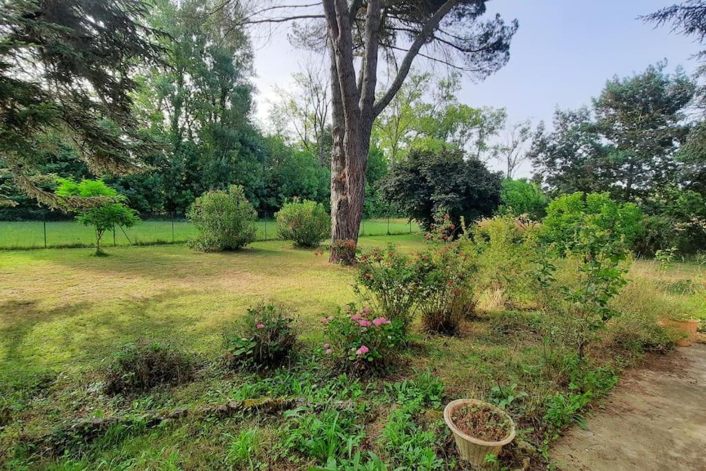 La Maison De Lili Colayrac-Saint-Cirq 外观 照片