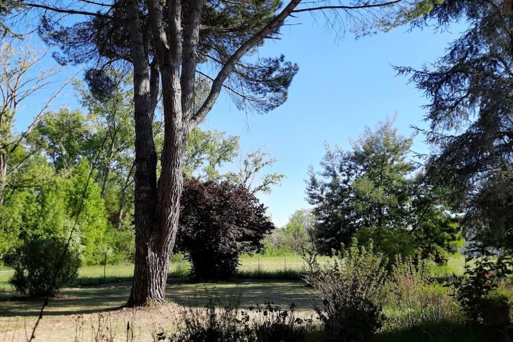 La Maison De Lili Colayrac-Saint-Cirq 外观 照片